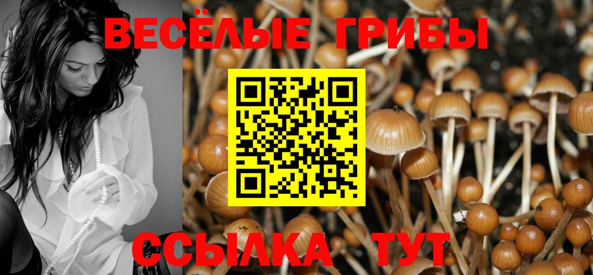 Узловая  Галлюциногенные грибы GOLDEN TEACHER  Вход с VPN 