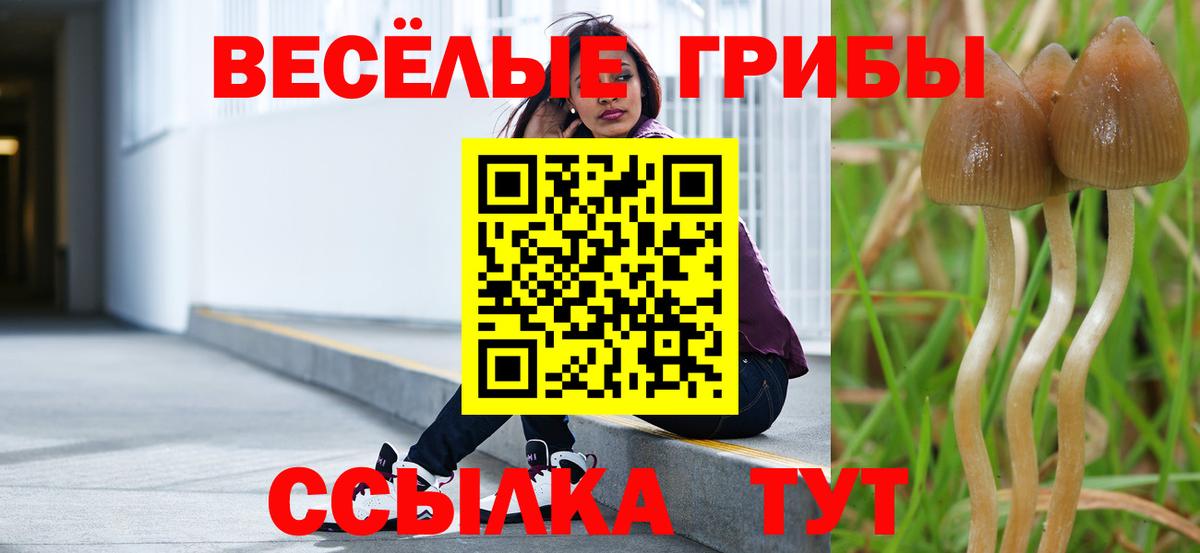 Псилоцибиновые грибы мицелий Узловая