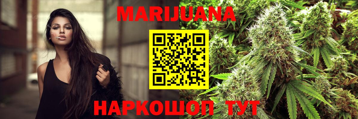 Бошки Шишки план Узловая